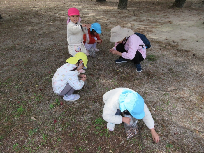 園からのお知らせ11月HP