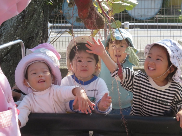 園からのお知らせ11月HP